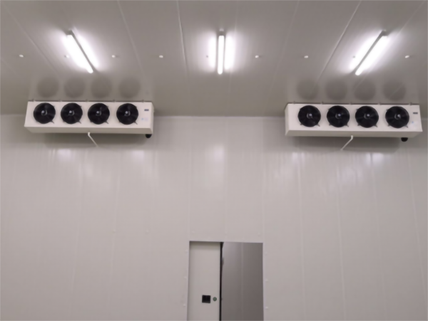 食品公司內建造一個1000平包子、水餃速凍冷庫費用是多少？