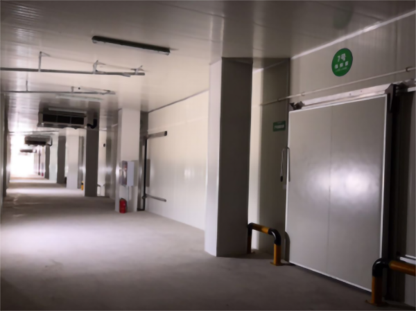 建造200噸的肉類冷鏈冷凍庫如何做好規(guī)劃設(shè)計？