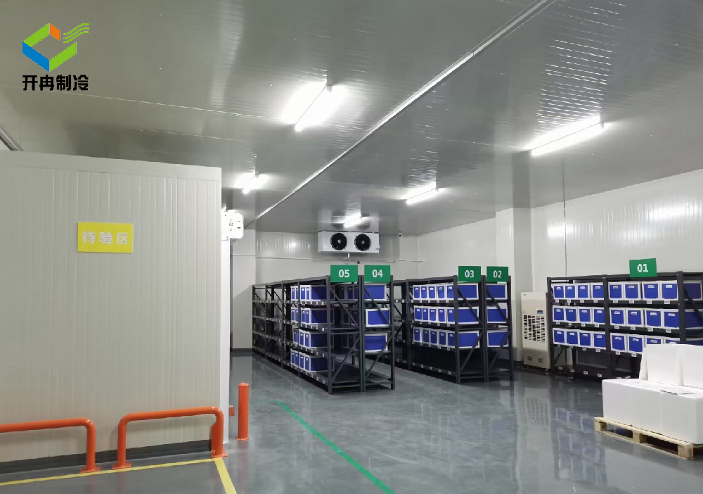 廠家安裝2~8度醫(yī)藥冷庫要求標準，新版GSP疫苗冷凍庫