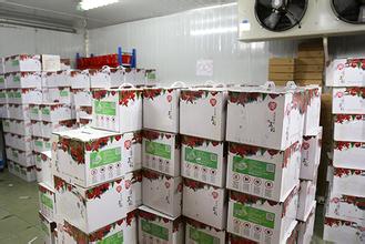 大型葡萄水果冷庫建造設(shè)計冷庫保鮮技術(shù)