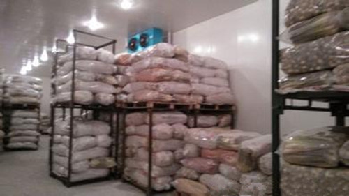 建一個(gè)500噸蓮藕冷庫(kù)多少錢(qián) ，蓮藕冷庫(kù)造價(jià)