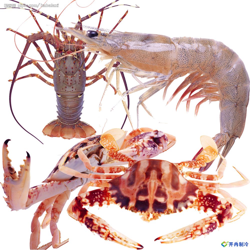 500平米海鮮冷庫建造，-25℃冷凍庫造價多少錢